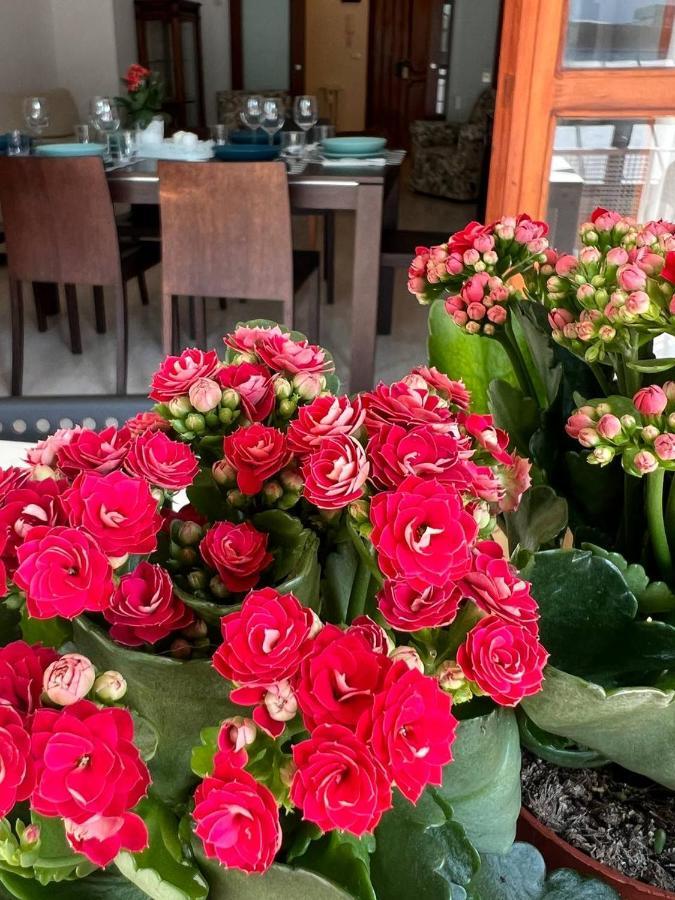 A Casa Di Nonna Apartment เปสการา ภายนอก รูปภาพ